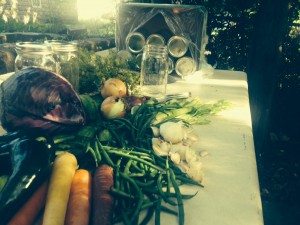veggies in backyard table